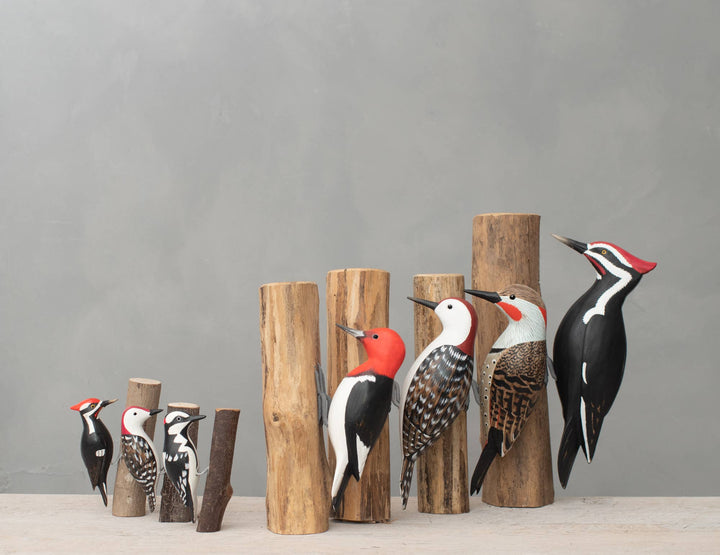 Woodpecker - Red Bellied  -Carved Wooden Ornament