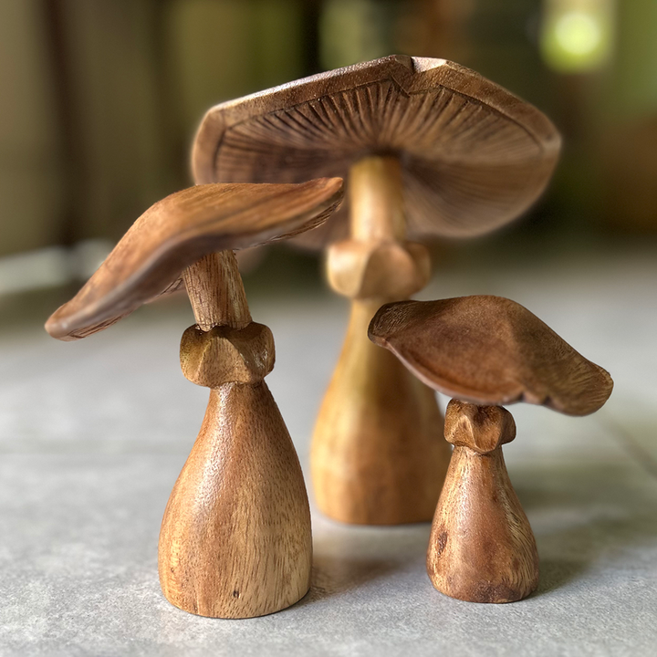 Wood Mushroom Medium | Natural Suar: Medium