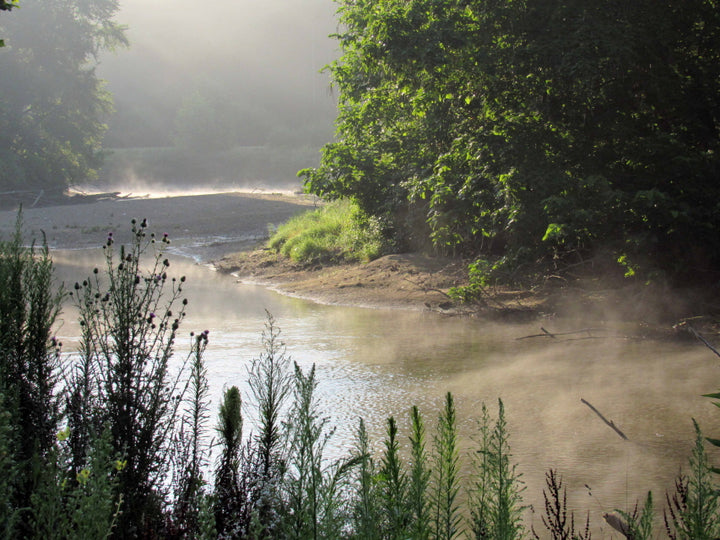 River Morning Mist - Ira Trailhead