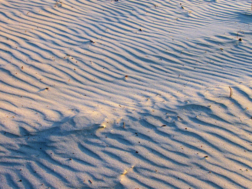 Sand and Shadow Ripples - Indian Pass, Florida