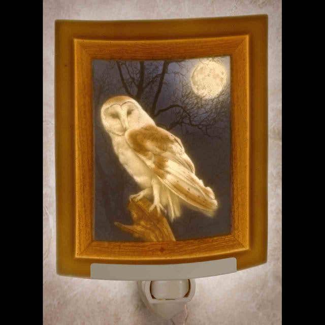 Owl Curved Colored Night Light